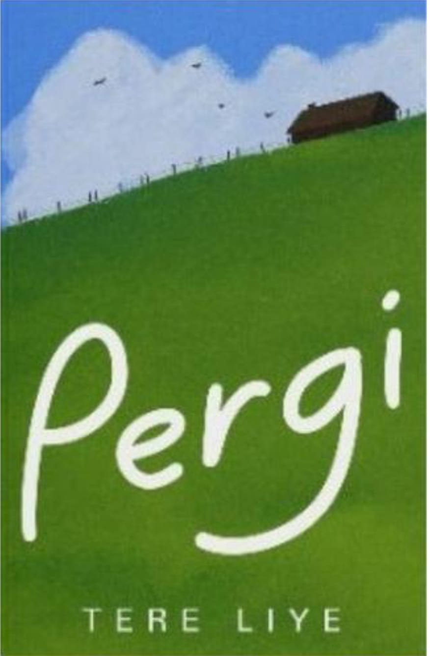 Cover pergi
